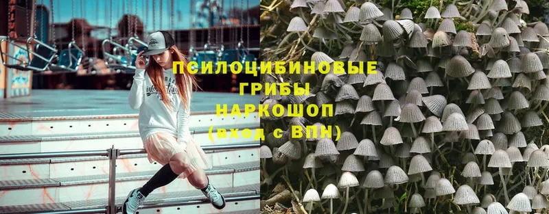 Псилоцибиновые грибы Magic Shrooms  МЕГА ССЫЛКА  Буй 